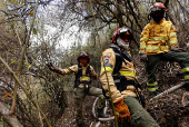 Aftermath of wildfires on the outskirts of Quito