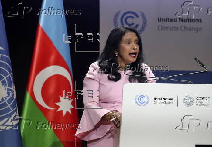 UN Climate Change Conference COP29