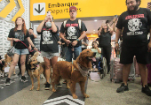 Protesto no Aeroporto de Cumbica pela morte do co Joca  transportado pela Cia Area Gol - Imagem: Gabriel Silva