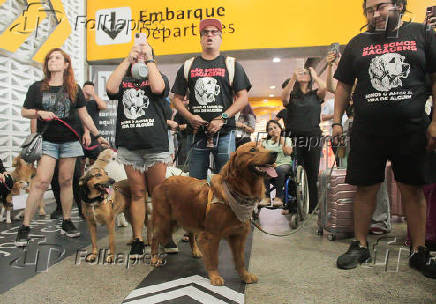 Protesto no Aeroporto de Cumbica pela morte do co Joca  transportado pela Cia Area Gol - Imagem: Gabriel Silva