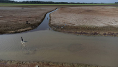 Rio Negro segue em ritmo forte de vazante