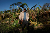 Aftermath of Hurricane Rafael in Cuba's Artemisa province