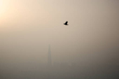 123-storey skyscraper Lotte World Tower is silhouetted on a foggy day in Seoul
