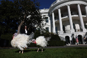 U.S. President Biden pardons the ThanksgivingTurkeys during the annual ceremony at the White House in Washington, U.S.