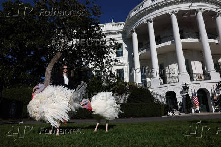 U.S. President Biden pardons the ThanksgivingTurkeys during the annual ceremony at the White House in Washington, U.S.