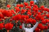 Decorations before Lunar New Year celebrations, in Beijing