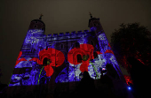 Poppy Fields at the Tower of London