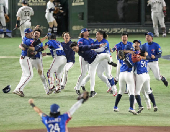 Taiwan team members celebrate winning the WBSC Premier12 baseball tournament at the final game against Japan, in Tokyo