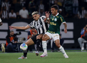 Brasileiro Championship - Botafogo v Palmeiras