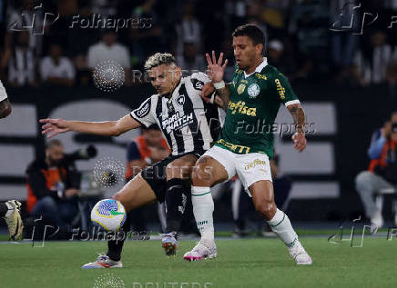 Brasileiro Championship - Botafogo v Palmeiras