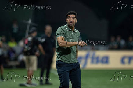 Partida entre palmeiras e botafogo pelo campeonato brasileiro de futebol 2024