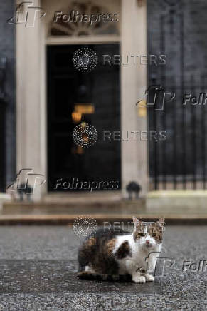 Larry the cat sits outside 10 Downing Street in London