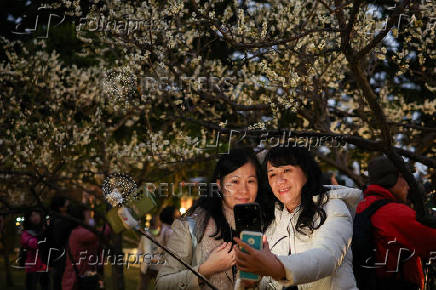 People take photos with plum blossoms in Taipei