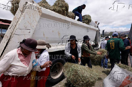 Aftermath of wildfires on the outskirts of Quito