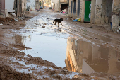 Aftermath of an Israeli raid in Jenin camp