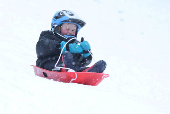 A boy is sledging in Aviemore, Scotland