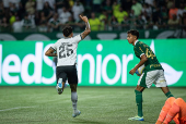 Partida entre palmeiras e botafogo pelo campeonato brasileiro de futebol 2024