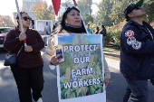 Protesters rally against proposed mass deportations at the California State Capitol