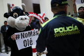 Activists protest against bullfighting during a debate at the Colombian congress in Bogota