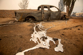 Cal Fire firefighters tackle the Bridge Fire threatening mountain communities near Los Angeles