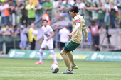 Partida entre PALMEIRAS X FLUMINENSE pelo Campeonato Brasileiro