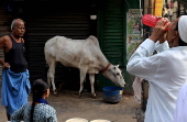 Eid al-Adha observed in India