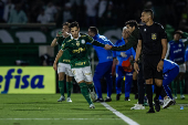 PALMEIRAS X ATLETICO MINEIRO ? CAMPEONATO BRASILEIRO 2024