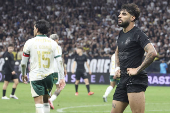 Match between corinthians and palmeiras for the 2024 brazilian football championship