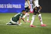 Match between Palmeiras and So Paulo for the So Paulo championship