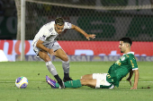 Partida entre Palmeiras e Atltico MG pelo Campeonato Brasileiro