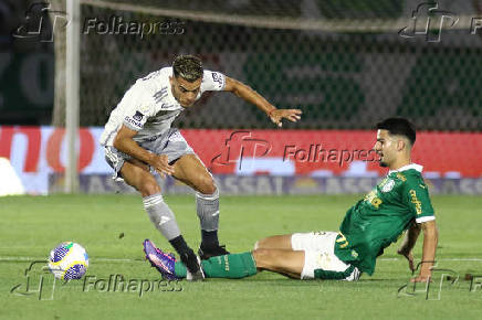 Partida entre Palmeiras e Atltico MG pelo Campeonato Brasileiro