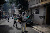 Funcionrios da prefeitura durante nebulizao contra o mosquito da dengue, em SP