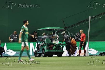 Palmeiras x Botafogo - Campeonato Brasileiro 2024