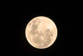 Lua Cheia Rosa