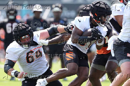 NFL: Cincinnati Bengals Training Camp