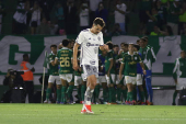 Partida entre Palmeiras e Atltico MG pelo Campeonato Brasileiro