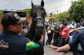 Cavalo Ventania do secretrio-adjunto de segurana, Adilson Custdio Moreira em seu velrio 