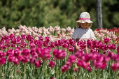 People rest among blooming tulips in the outskirts of Kyiv