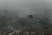 Especial queimadas, seca e clima seco no pas