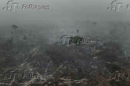 Especial queimadas, seca e clima seco no pas