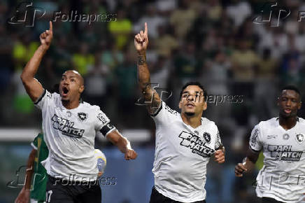 Partida entre Palmeiras e  Botafogo vlida pelo Campeonato Brasileiro 2024.