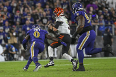 NFL: Cincinnati Bengals at Baltimore Ravens