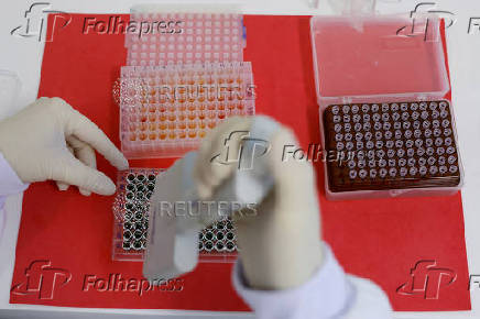 FILE PHOTO: Brazil boosts bird flu defense to protect world's top chicken industry, in Campinas