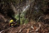 Aftermath of wildfires on the outskirts of Quito