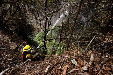 Aftermath of wildfires on the outskirts of Quito