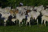 Propriedade rural no limite das cidade de So Jos dos Campos 