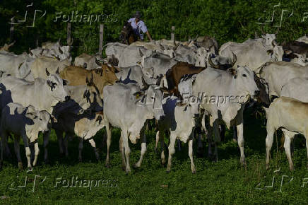 Propriedade rural no limite das cidade de So Jos dos Campos 