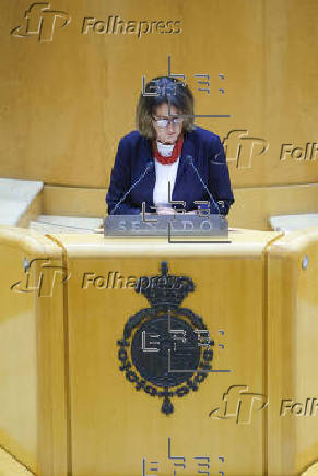 Teresa Ribera, comparece en el Senado para ofrecer sus explicaciones sobre la gestin de las inundaciones producidas por la dana