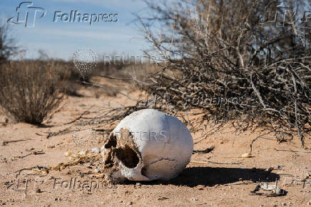 Search for deceased migrants in New Mexico