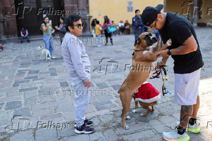 People bring their pets to be blessed on Saint Anthony's day, on the outskirts of Mexico City